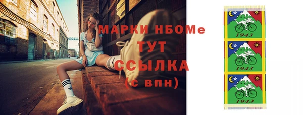 индика Аркадак
