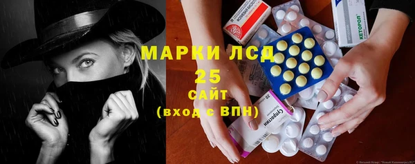 индика Аркадак