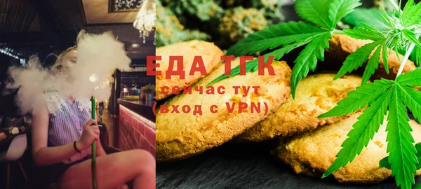 индика Аркадак