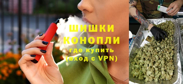 индика Аркадак