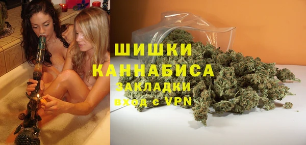 индика Аркадак