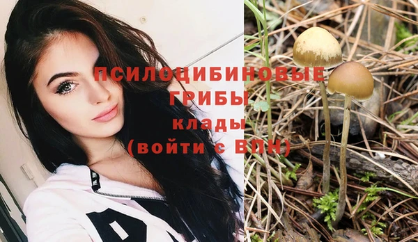 a pvp Арсеньев
