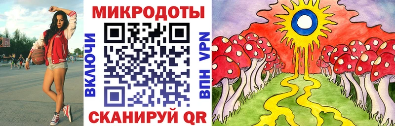 Галлюциногенные грибы GOLDEN TEACHER Кулебаки