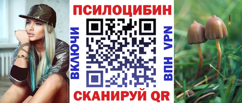 Псилоцибиновые грибы GOLDEN TEACHER  Кулебаки 
